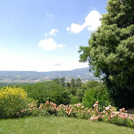 Della Picca Città della Pieve