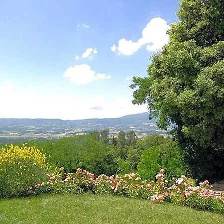 Della Picca